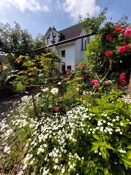 Rosengarten